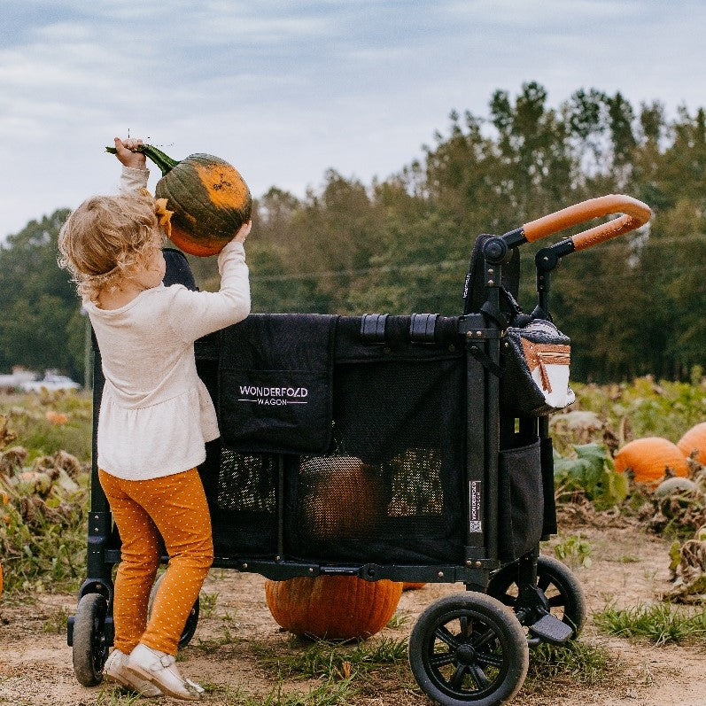 10 Fun Fall Family Adventures